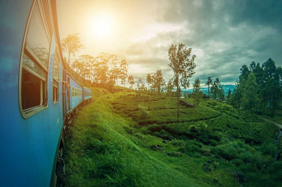 Nuwara Eliya From Kandy By Train