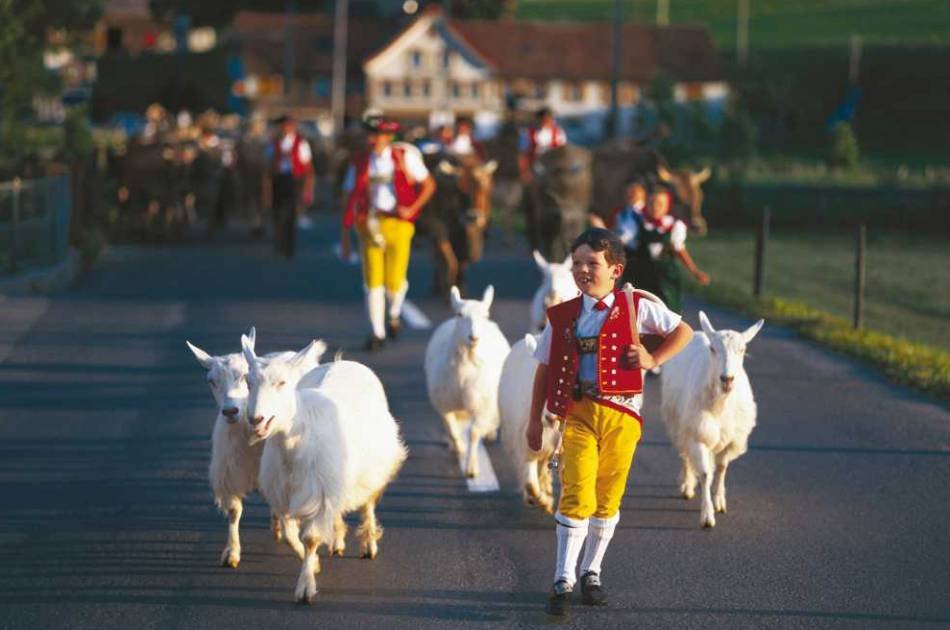 Swiss Traditions - Appenzellerland