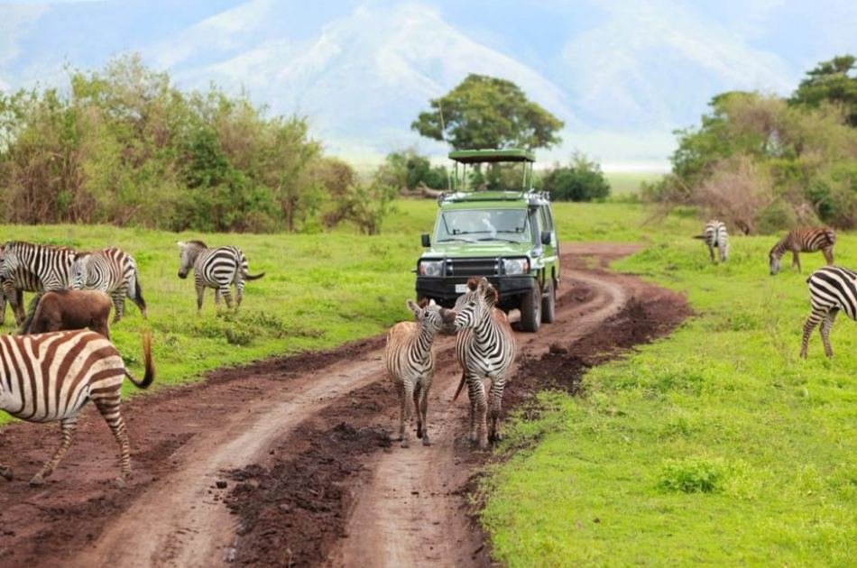 12 Days Budget Caming Tanzania Safari