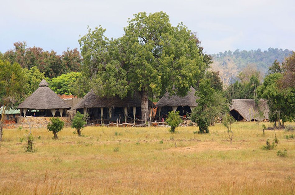 3 Days / 2 Nights Exciting Safari in Mikumi National Park from Zanzibar