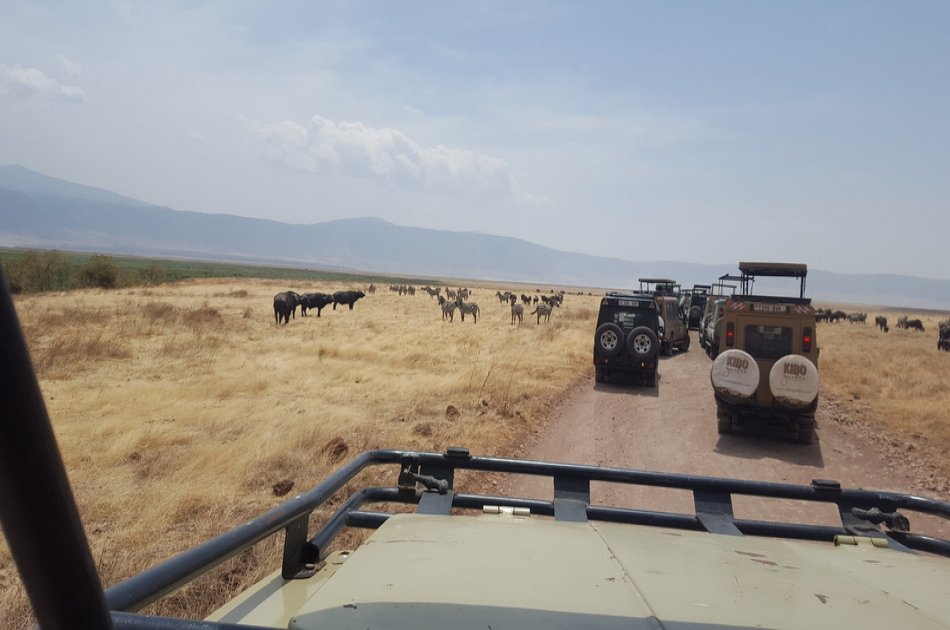 4 Day Camping Safari Group Join in Tanzania