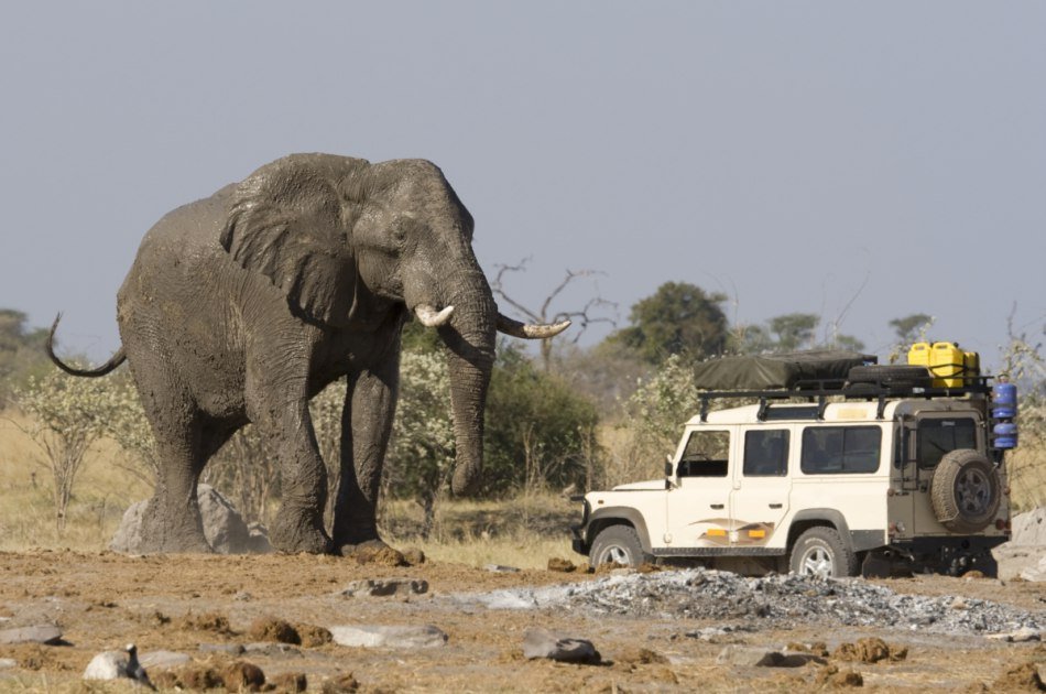 4 Day Camping Safari Group Join in Tanzania