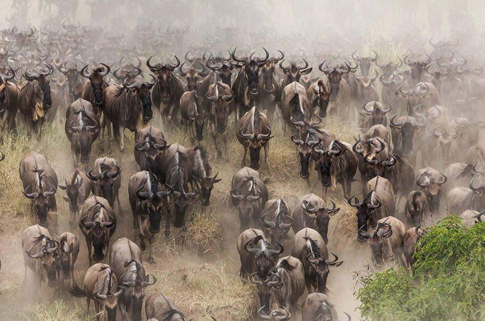 6 Day North Circuit Safari