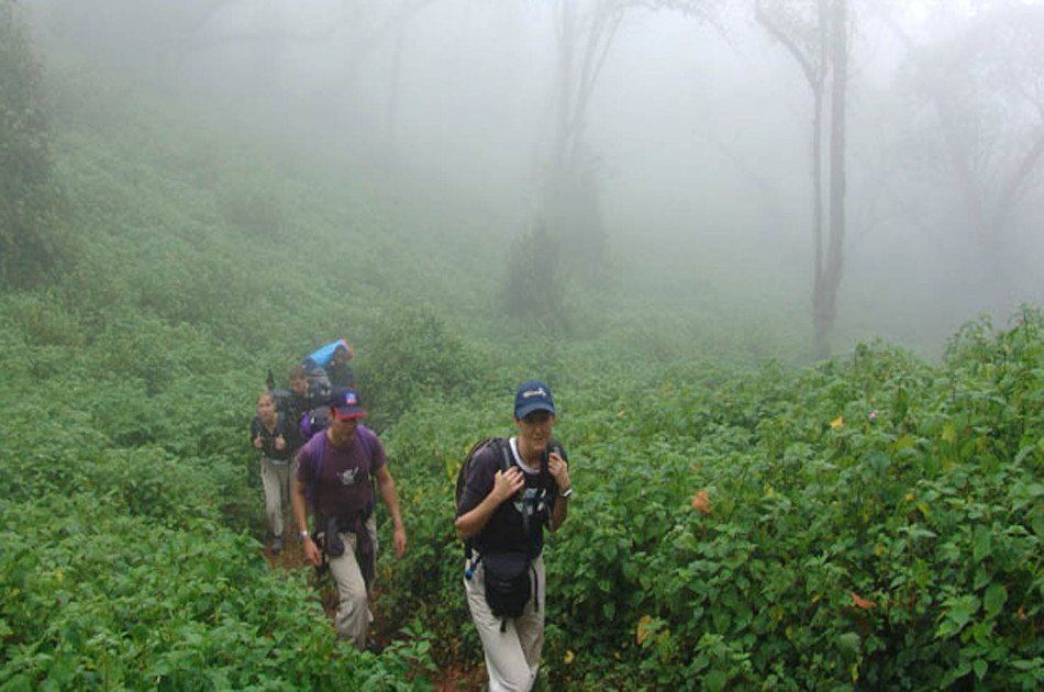 7 Days Kilimanjaro Trekking via Lemosho Route + 2 Nights Hotel Stay