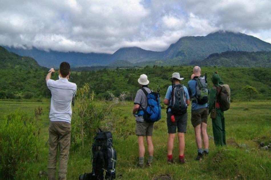 7 Days Kilimanjaro Trekking via Lemosho Route + 2 Nights Hotel Stay