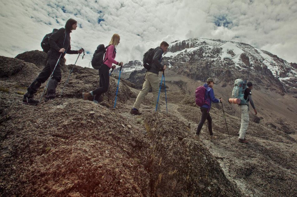 7 Days Kilimanjaro Trekking via Lemosho Route + 2 Nights Hotel Stay