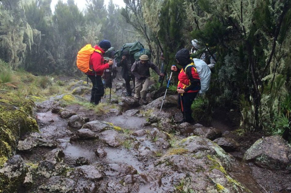 7 Days Kilimanjaro Trekking via Machame Route + 2 Nights Hotel Stay