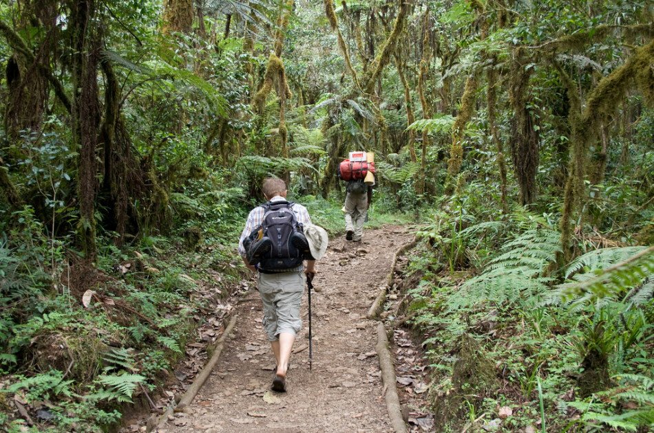 7 Days Kilimanjaro Trekking via Machame Route + 2 Nights Hotel Stay