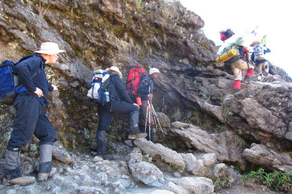 7 Days Kilimanjaro Trekking via Machame Route + 2 Nights Hotel Stay