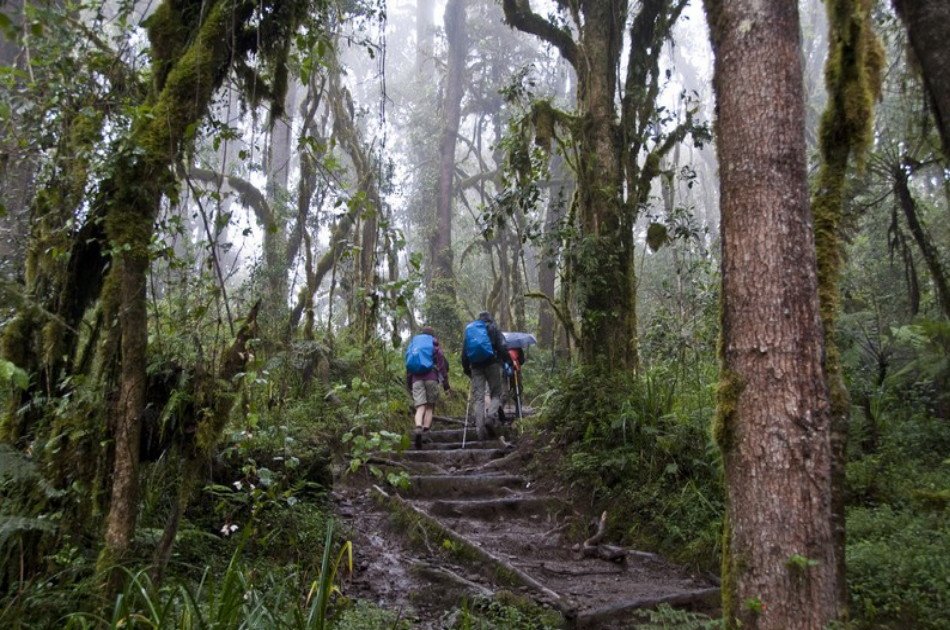7 Days Kilimanjaro Trekking via Machame Route + 2 Nights Hotel Stay