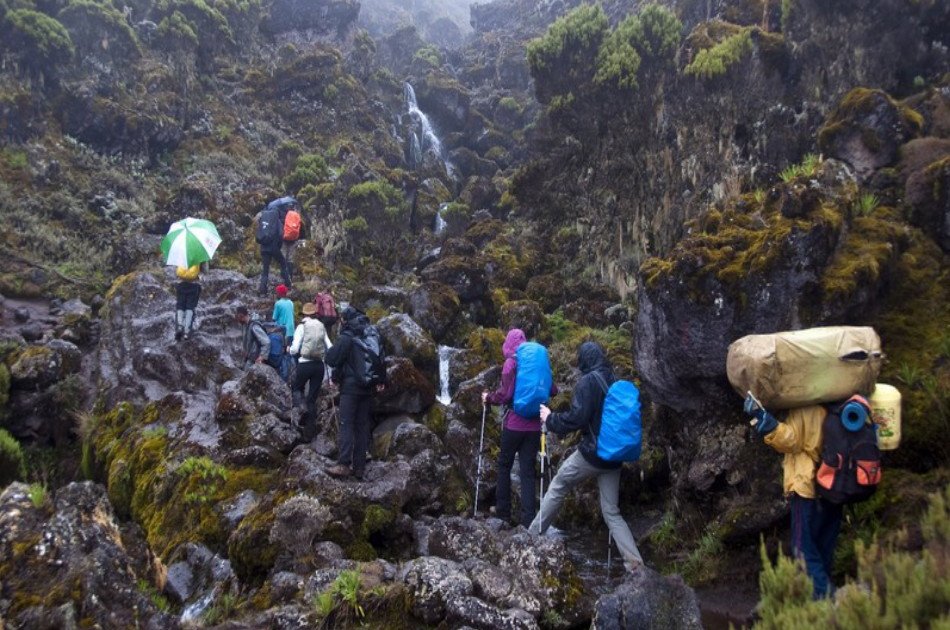 7 Days Kilimanjaro Trekking via Machame Route + 2 Nights Hotel Stay