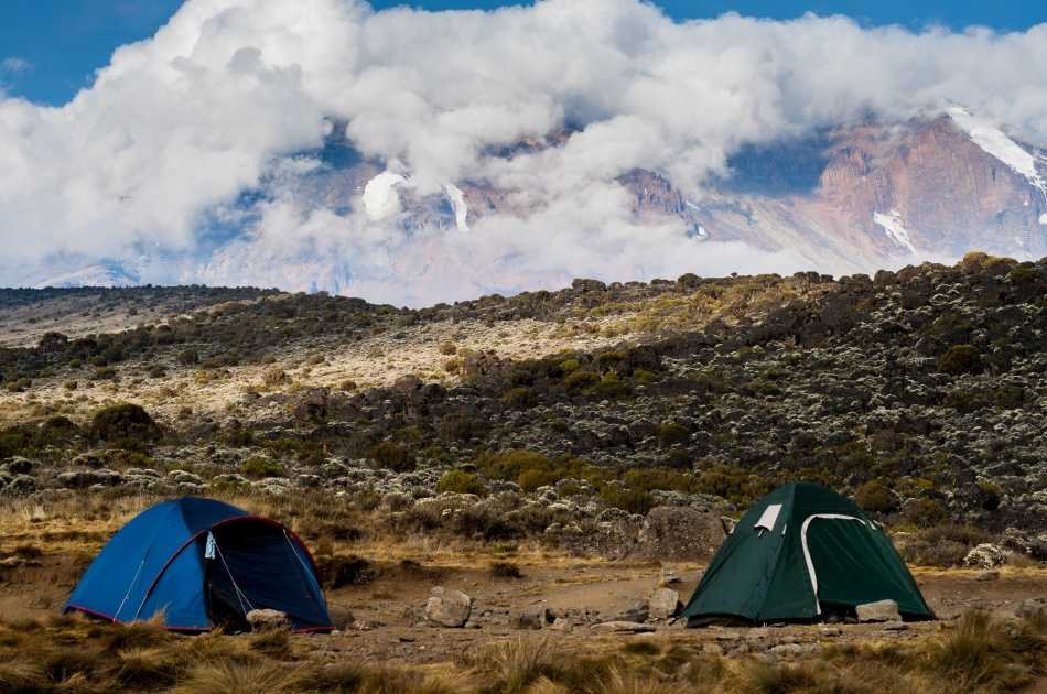 7 Days Machame Route Kilimanjaro Trekking