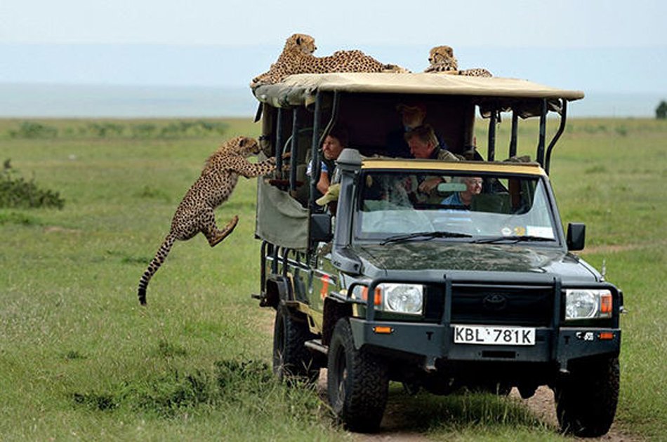 8 Days Ultimate Tanzania Safari
