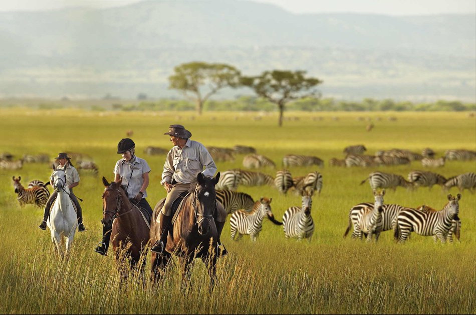 8 Days Ultimate Tanzania Safari