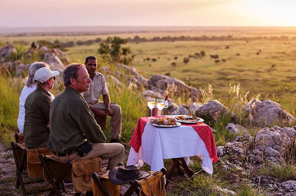 Discover the World of Wilderness in Luxury Style!