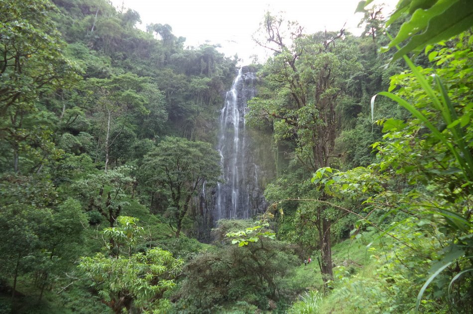 Explore Materuni Village And Waterfall on A Group Day Tour in Moshi