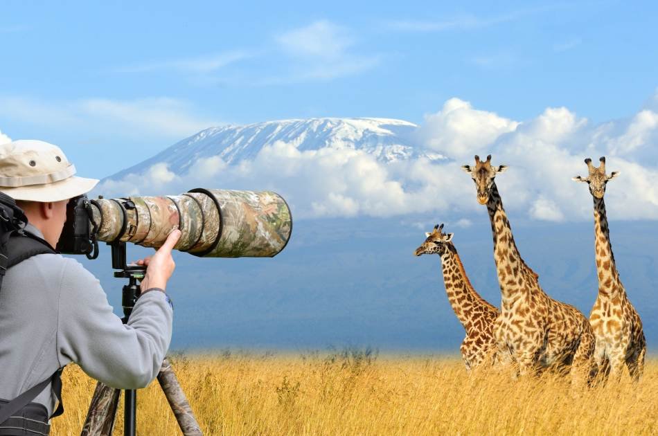 From the Peak of Kilimanjaro, Head to the Bush and Beach 8 Day Tour
