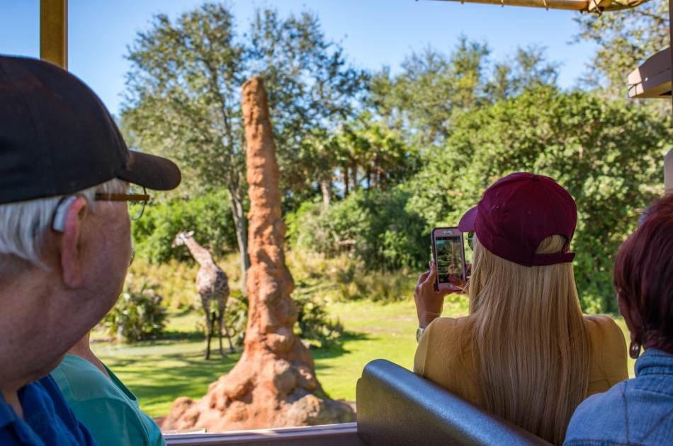 From the Peak of Kilimanjaro, Head to the Bush and Beach 8 Day Tour