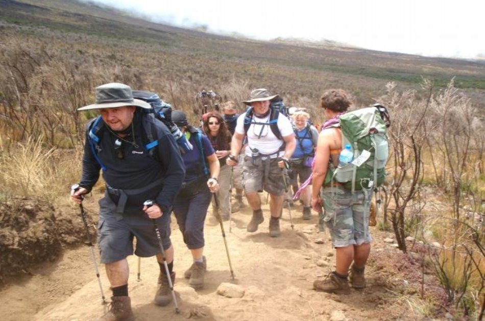 From the Peak of Kilimanjaro, Head to the Bush and Beach 8 Day Tour