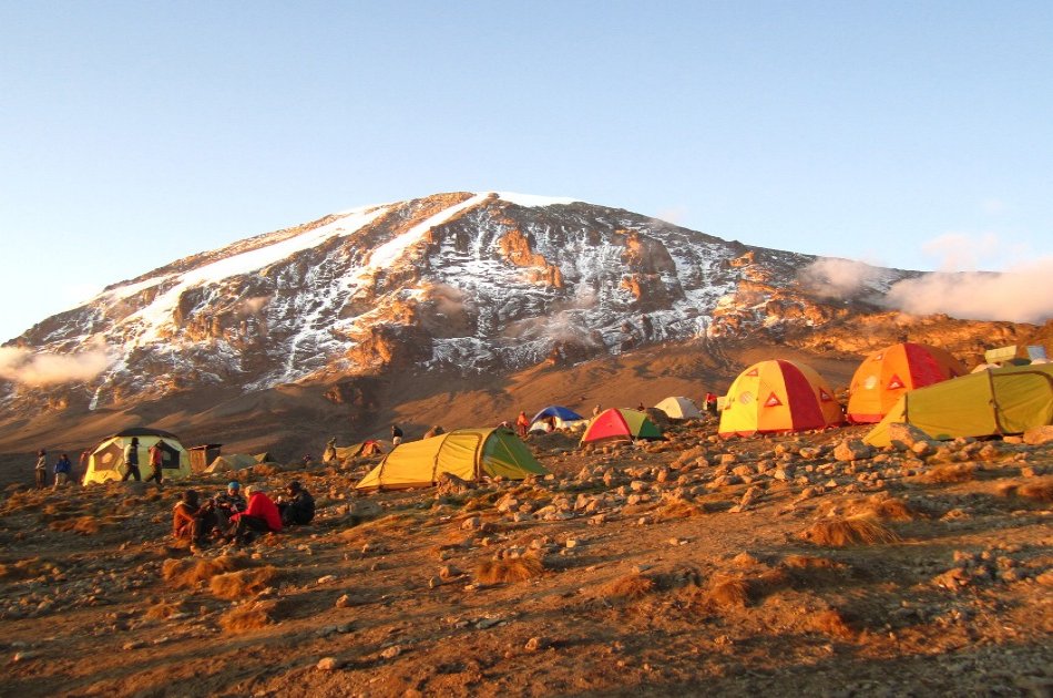 From the Peak of Kilimanjaro, Head to the Bush and Beach 8 Day Tour