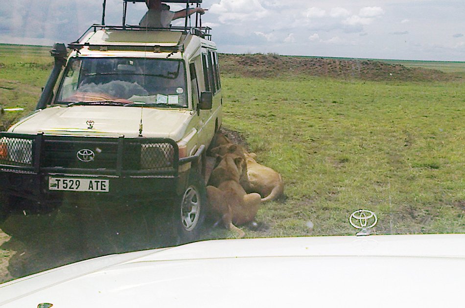 Great Migration Safari 4 Day Tour From Arusha To Serengeti National Park