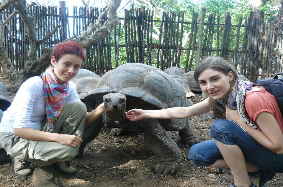 Group Tour to Stone Town & Prison Island in Zanzibar