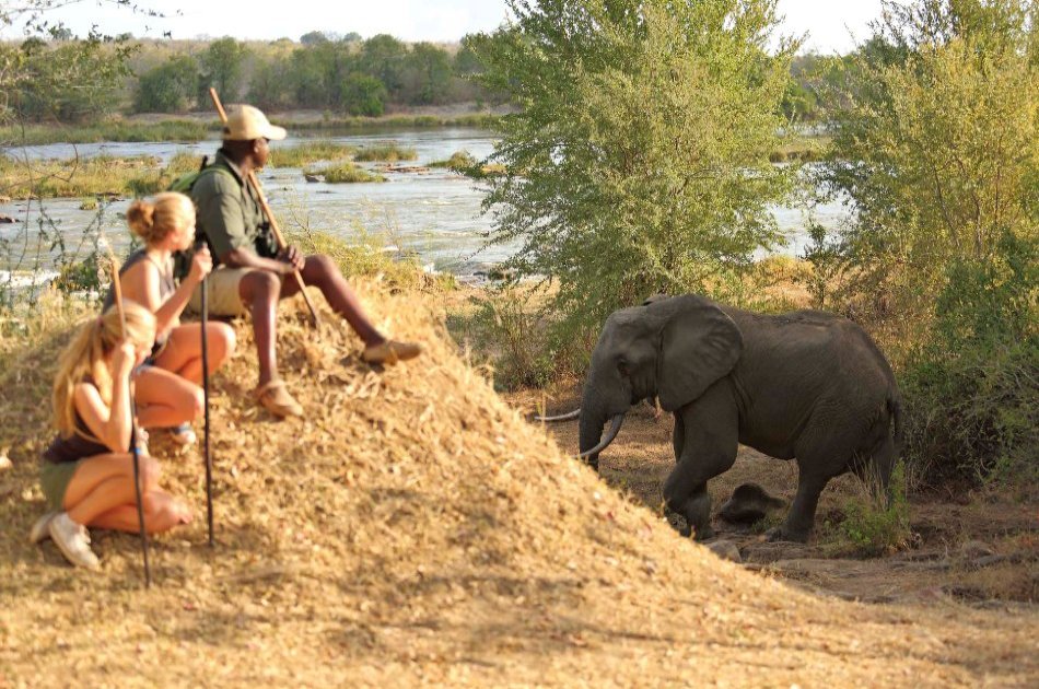 Kenya & Tanzania Safari Adventure - 11 Days