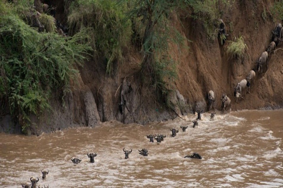 Kenya & Tanzania Safari Adventure - 11 Days