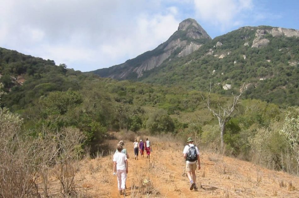 Kenya & Tanzania Safari Adventure - 11 Days