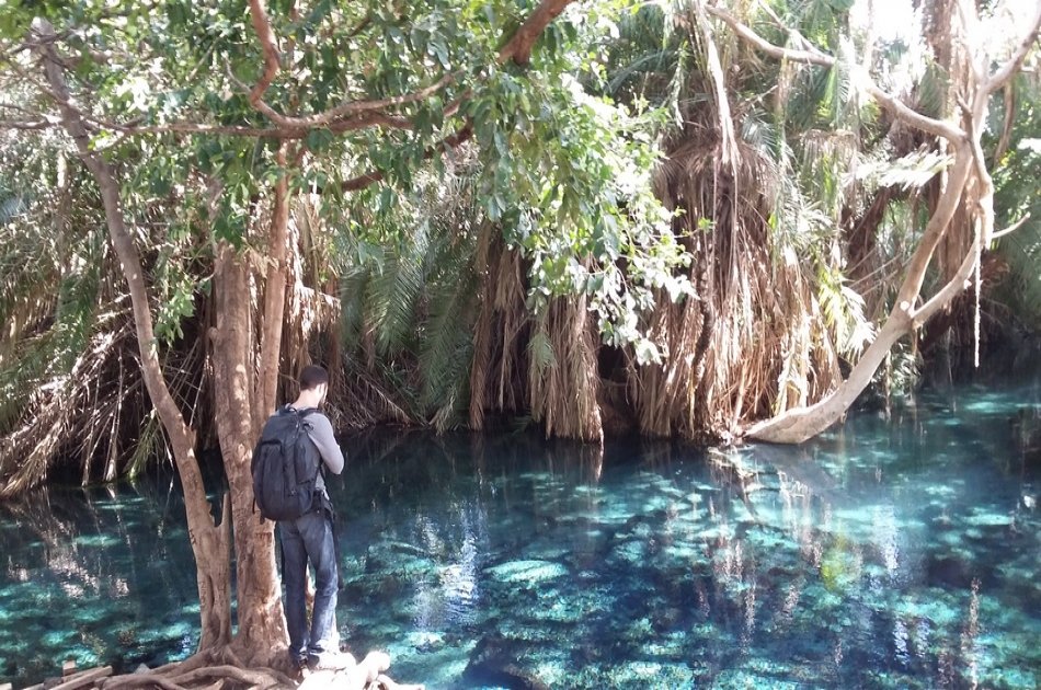 Kikuletwa Hot Spring Swimming Group Day Tour from Moshi