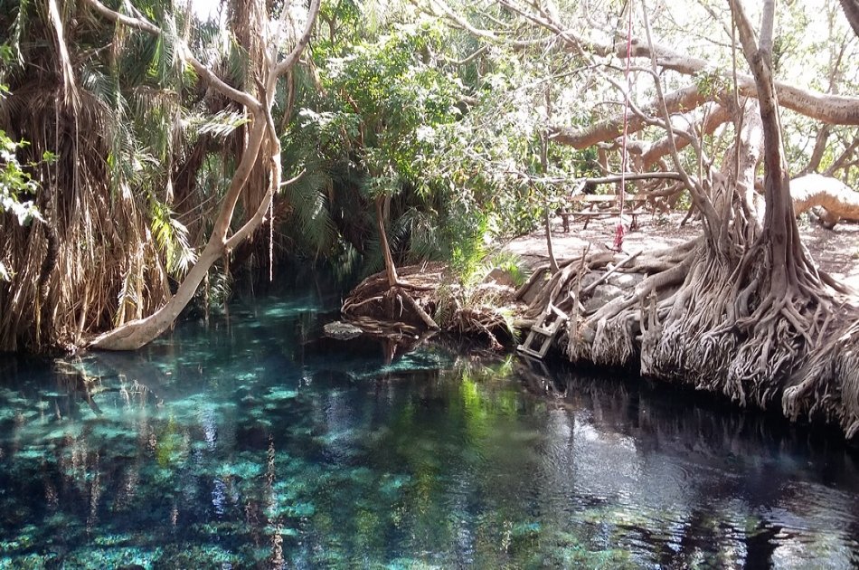 Kikuletwa Hot Spring Swimming Group Day Tour from Moshi