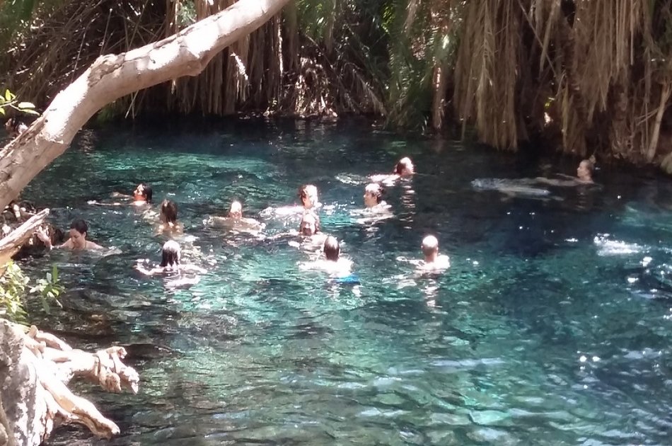 Kikuletwa Hot Spring Swimming Group Day Tour from Moshi