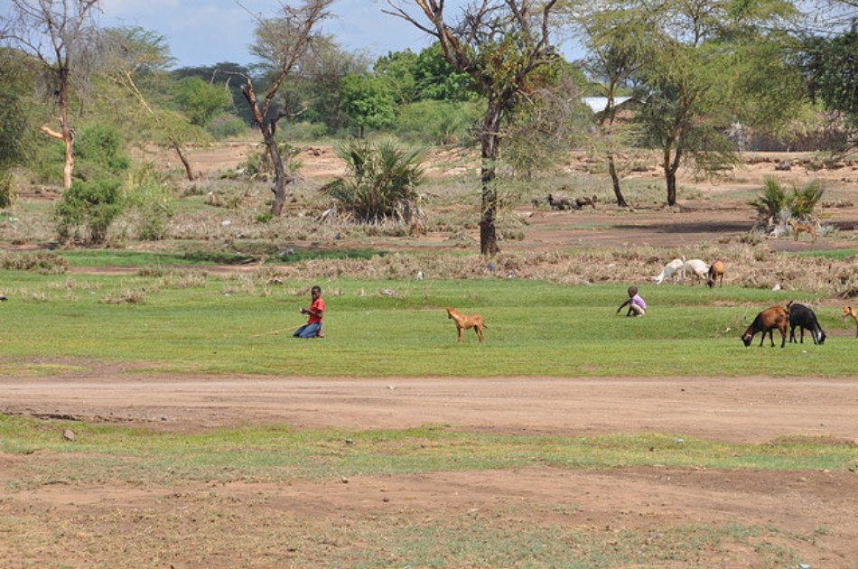 Kikuletwa Hotsprings and Visit a Real Maasai Village
