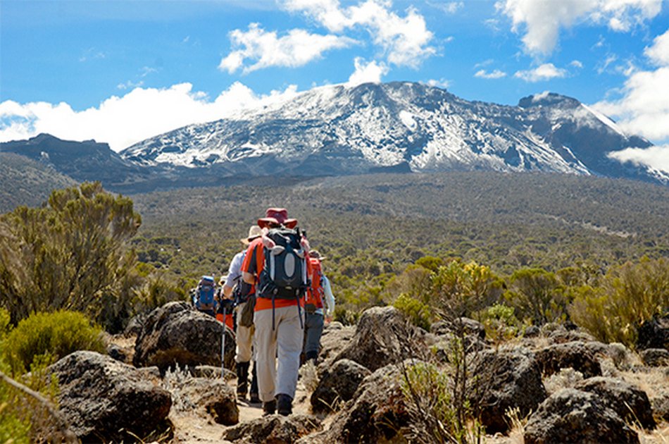 Mountain Kilimanjaro Group Day Hike via Marangu Route