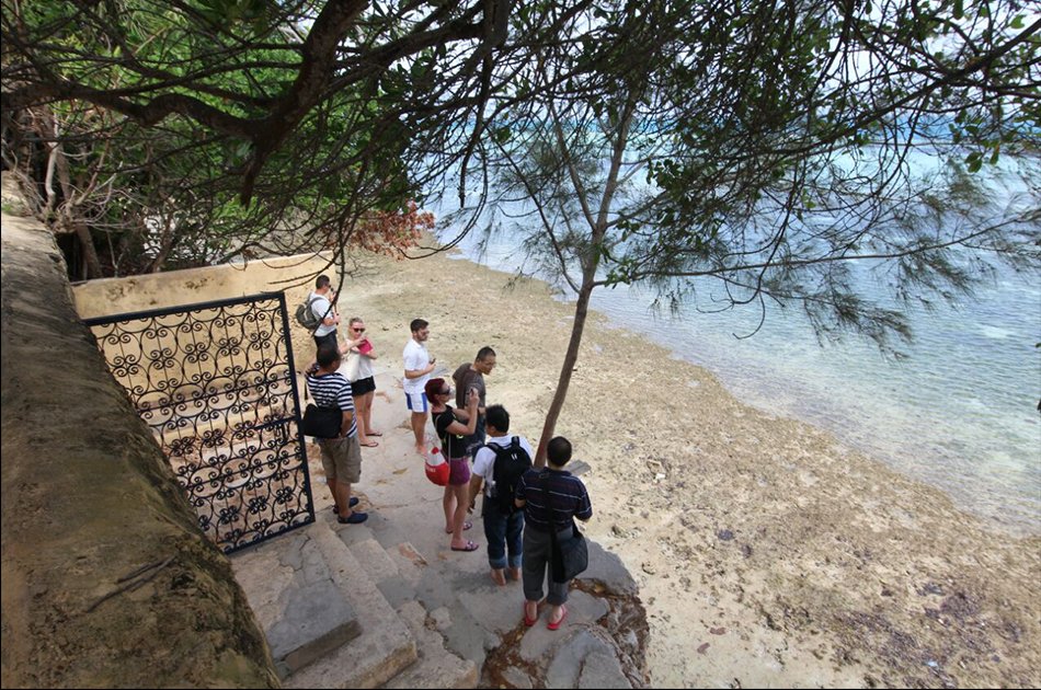 Prison Island Half Day Tour from Stone Town