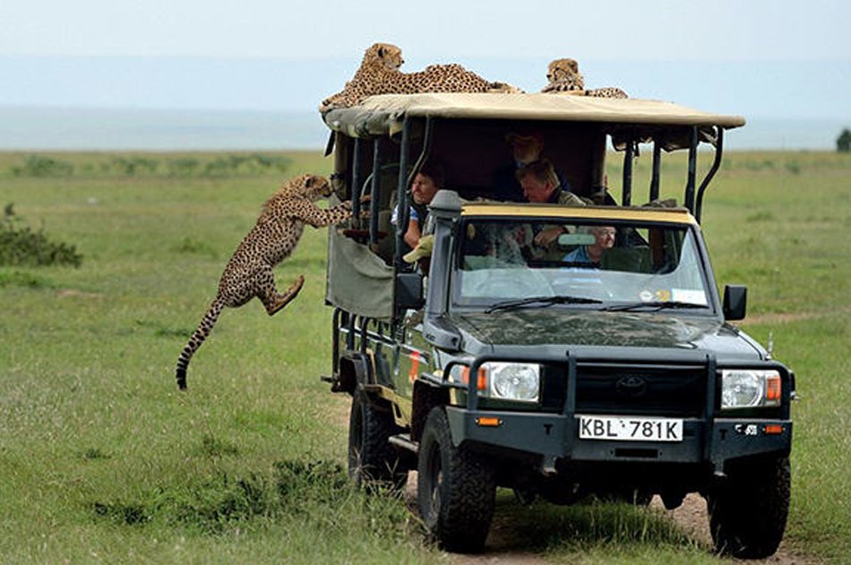 Tanzania 2 Days / 1 Night Safari in Mikumi National Park