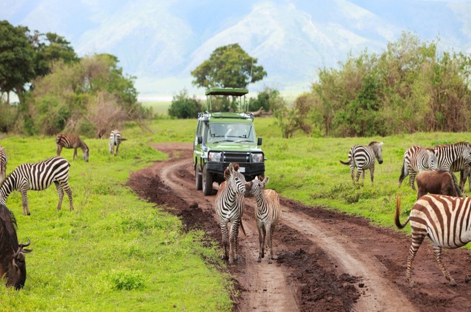 Tanzania 2 Days / 1 Night Safari in Mikumi National Park