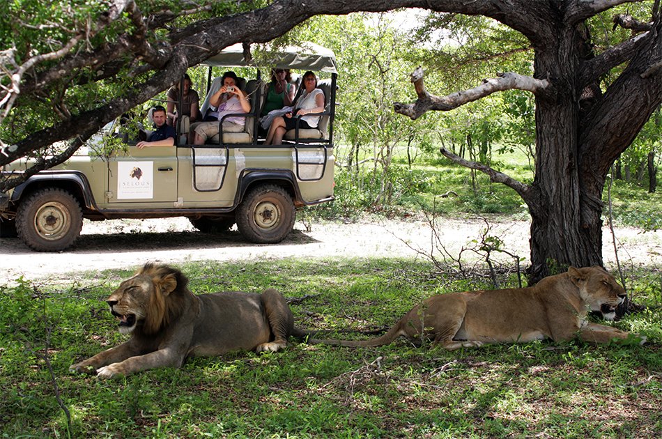 Tanzania 3 Days Selous Game Reserve Safari