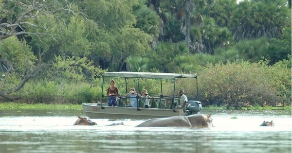 Two Days Selous Game Reserve Safari from Stone Town