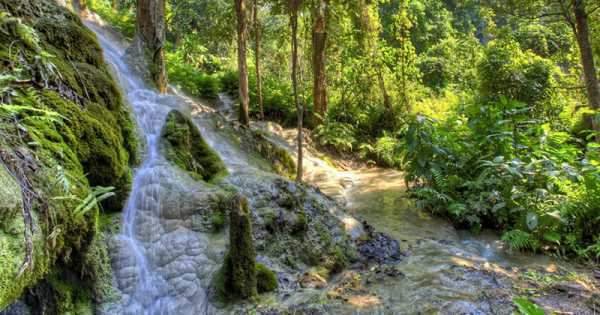 Explore the Bua Tong Waterfall