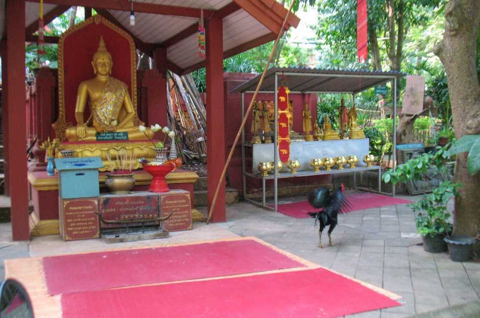 Private Day Tour of Wat Prathat Doi Kham, Wat Phalad, Wat U Mong in Chiang Mai