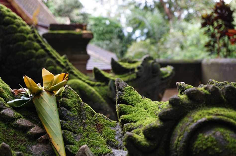 Private Day Tour of Wat Prathat Doi Kham, Wat Phalad, Wat U Mong in Chiang Mai