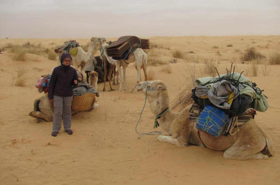 2-Day Sahara Desert Camel Trek in Tunisia