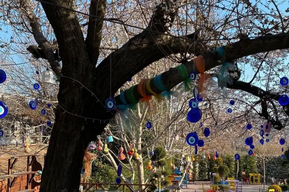 2 Day Private Ephesus & Pamukkale Tour From Istanbul