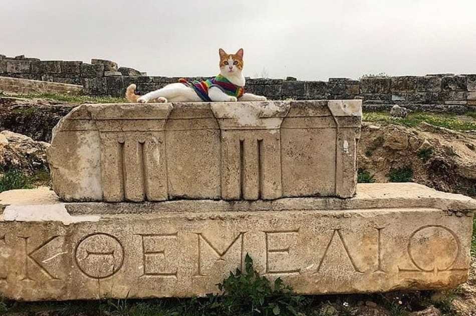 Breathtaking Pamukkale on a Private Tour from Kusadasi