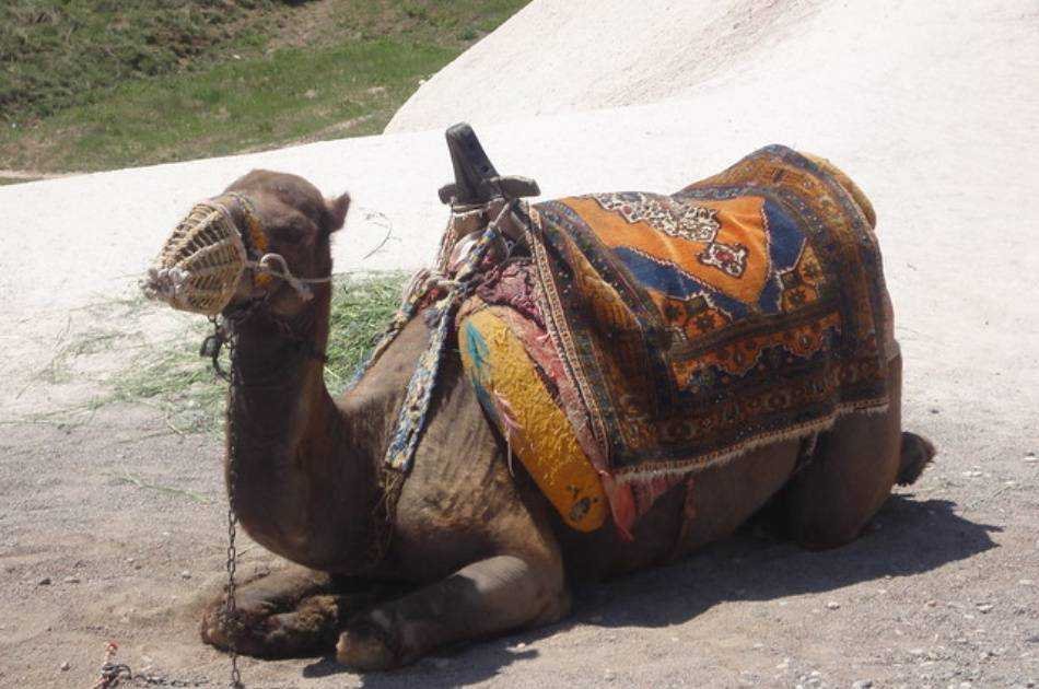 Cappadocia Horseback Riding Tour