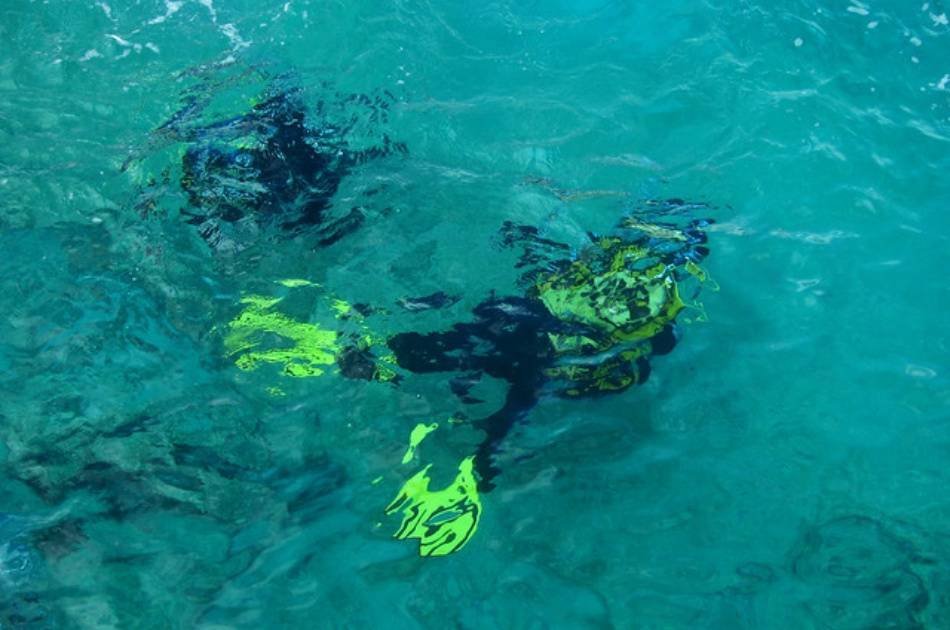 Discover the Colourful Reefs on a Kusadasi Scuba Diving Tour