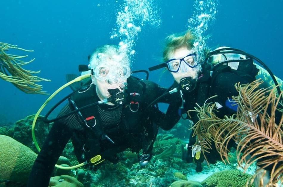 Discover the Colourful Reefs on a Kusadasi Scuba Diving Tour