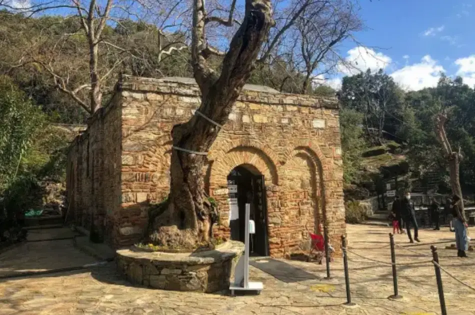 Ephesus, Didyma and Miletus Tour From Kusadasi
