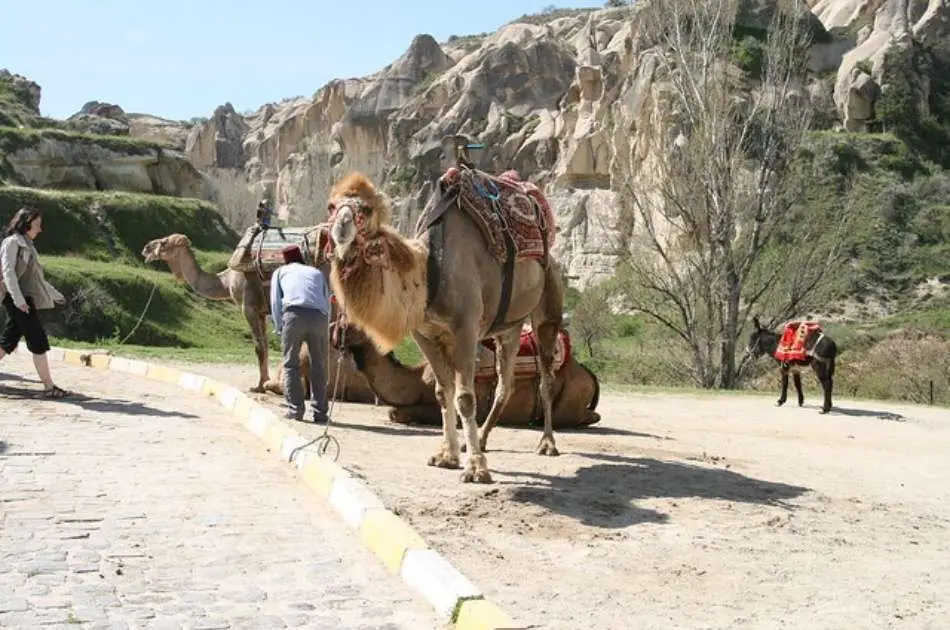 Feel the Magic of the Fairy Chimneys on a Southern Cappadocia Turkey Tour